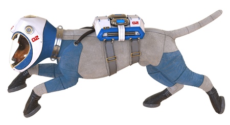 Dog in an astronauts space suit. 3D illustration isolated on white.の写真素材