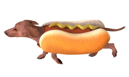 3D illustration a dog in a hotdog suit isolated on white.の写真素材
