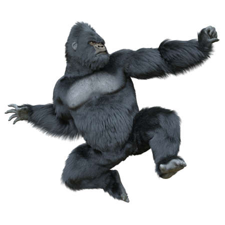 Black silver gorilla 3d illustration isolated on whiteの写真素材