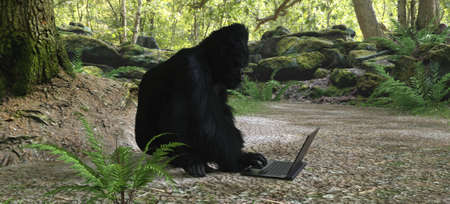 Gorilla with laptop in forest concept 3d illustrationの写真素材