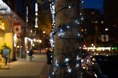 Closeup of seasonal lights decorate trees in downtown Vancouver