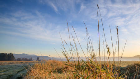Cold foggy November morning in rural Langley
