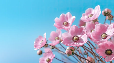 Pink flowers on a blue sky background with copy space for text.の素材