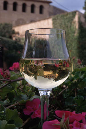 A glass of Chardonnay sits on a wine caskの写真素材