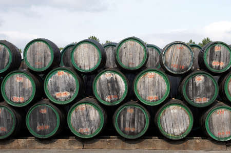 Wine Barrels in a cellar 