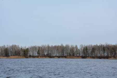 Fragment of a wild island on the riverの写真素材
