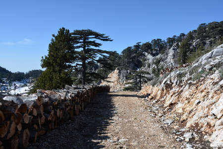 A wide mountain pathの写真素材