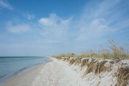 Deserted, uninhabited, wild beach by the sea or the ocean on a sunny dayの写真素材