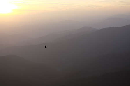 A lone black raven hovers over a mountain rangeの写真素材