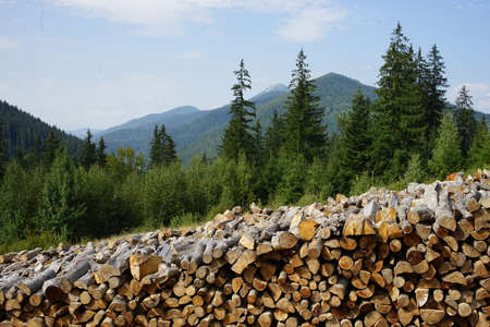 Stacking of firewood in the farmyard of the farm in the forestの写真素材