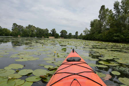 An orange kayak swims into a quiet river or lake creekの写真素材