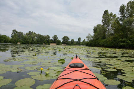 An orange kayak swims into a quiet river or lake creekの写真素材