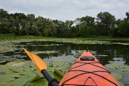 An orange kayak swims into a quiet river or lake creekの写真素材