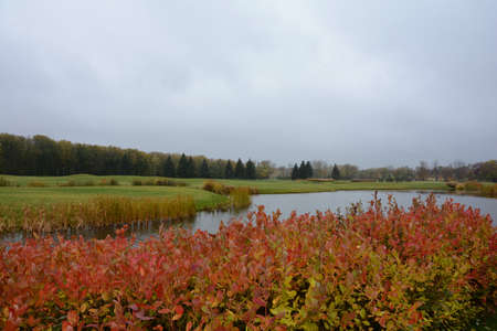 Autumn landscape park with a pondの写真素材