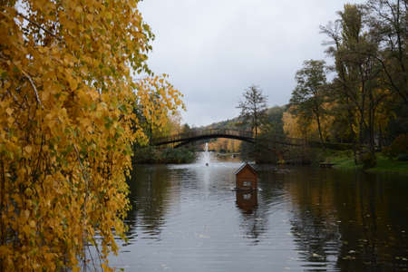 Autumn Landscape Park with a Bridge over a Pond and Yellow Treesの写真素材