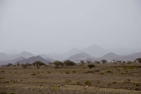 The landscape of the rocky desert in Oman or the UAEの写真素材