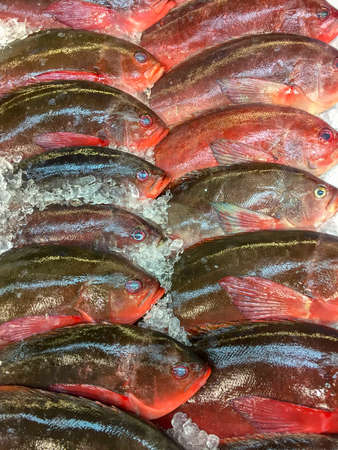 Fish on ice ready to buyの写真素材