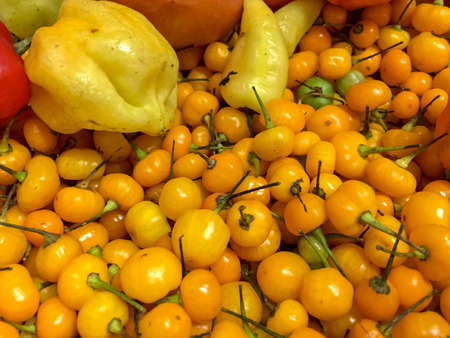 aji amarillo peruano in local market in the city of Lima, Peruの写真素材