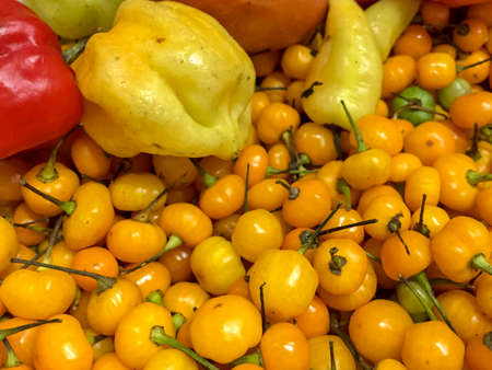 aji amarillo peruano in local market in the city of Lima, Peruの写真素材
