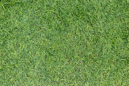Image of artificial green grassの写真素材