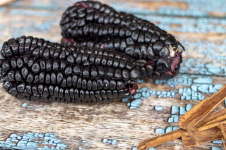 View of purple corn culli, Zea Mays