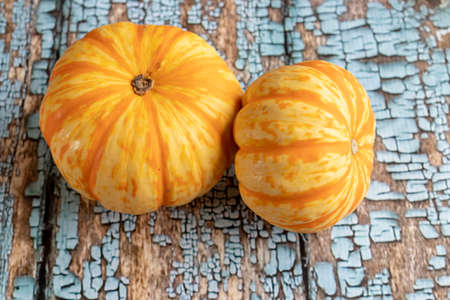 View of orange pumpkinsの写真素材