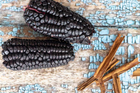 View of purple corn culli, Zea Maysの写真素材