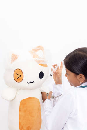 Beautiful girl, plays veterinarian and examines a catの写真素材