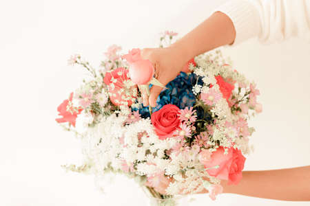 Woman's hand decorating floral arrangementの写真素材