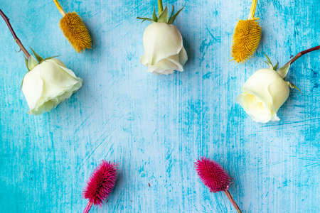 White roses next to dried colorful flowers on aquamarineの写真素材
