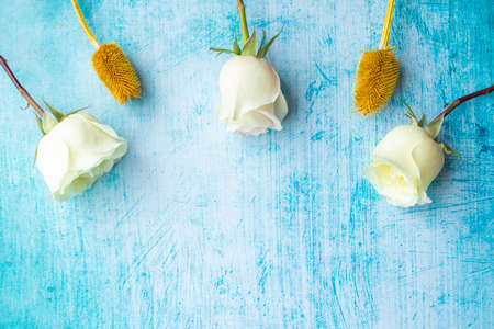 White roses next to dried colorful flowers on aquamarineの写真素材