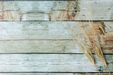Wheat ears placed on brown wooden backgroundの写真素材