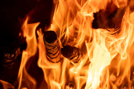 Flames of fire in charcoal with firewoodの写真素材