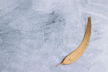 Marbling gray background with dried leaves on the edgeの写真素材