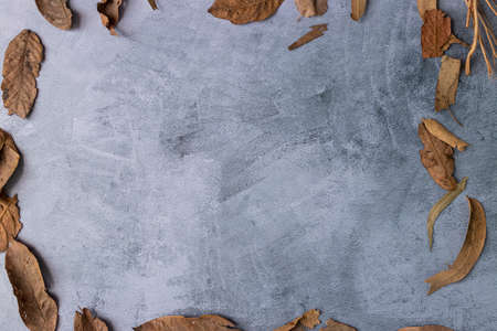 Marbling gray background with dried leaves on the edgeの写真素材