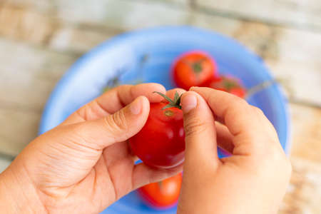 Hands holding cherries tomatoesの写真素材