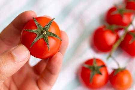 Hands holding cherries tomatoesの写真素材
