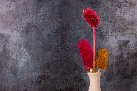 Dried colorful flowers placed in vase with gray backgroundの写真素材