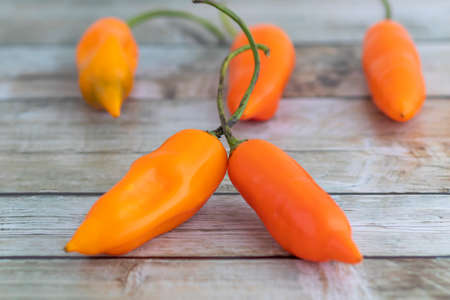 Yellow peppers, the main ingredient in Peruvian cuisineの写真素材