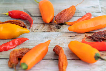 View of several Peruvian peppers, such as yellow chili, limo chili and paprikaの写真素材