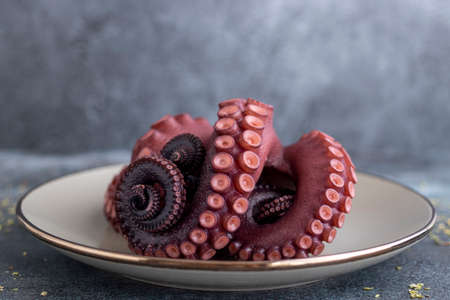 Delicious octopus tentacles served on a fine plateの写真素材