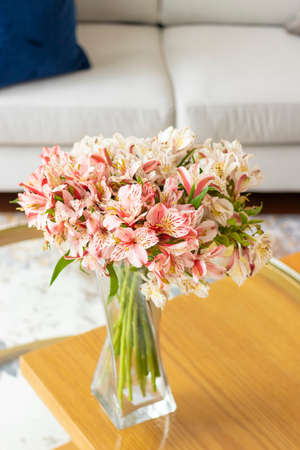 Astromeliads flower arrangement in a nice living roomの写真素材