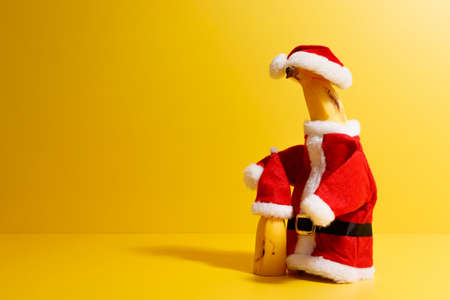 Banana dressed as Santa Claus, prepared for Christmasの写真素材