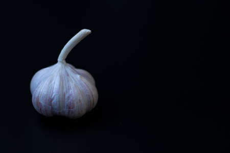 Garlic head on dark backgroundの写真素材