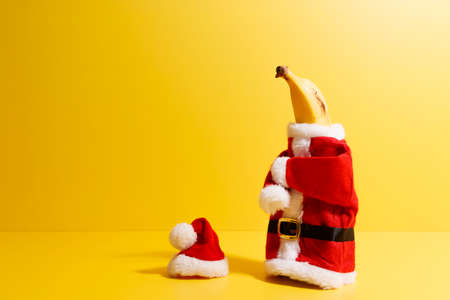Banana dressed as Santa Claus, prepared for Christmasの写真素材