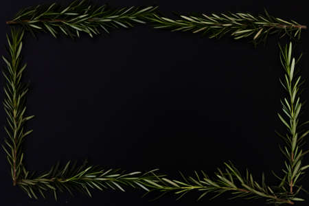 Black background decorated with rosemary branchesの写真素材