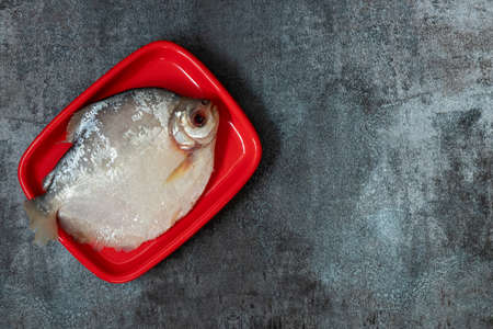 Still life with fresh fish and Peruvian ingredients for cookingの写真素材