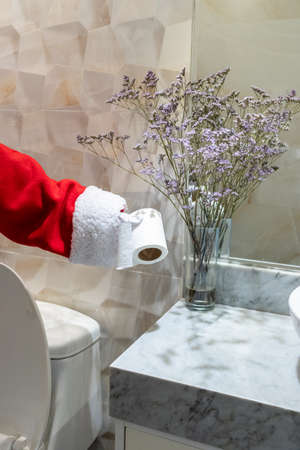 Santa Claus using toilet paper in the WC of a houseの写真素材