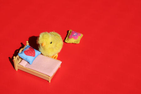 Cute little chick getting ready to go to sleep in her bed. Conceptual.の写真素材