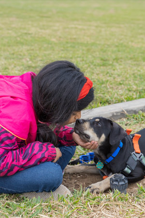 A young girl is petting a dog. The dog is wearing a blue collar